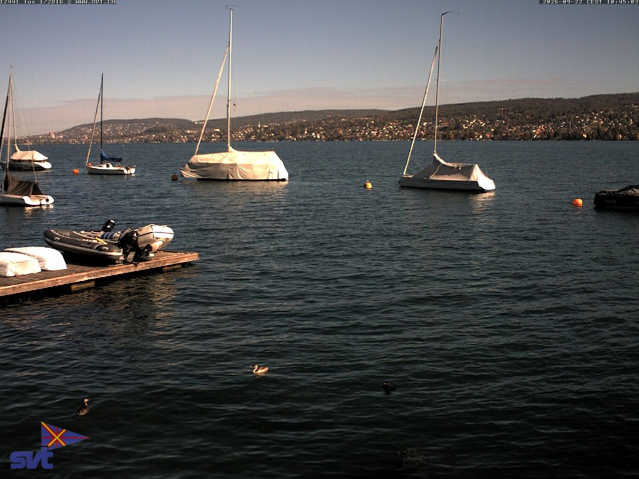 Thalwil › Osten: Zürichsee