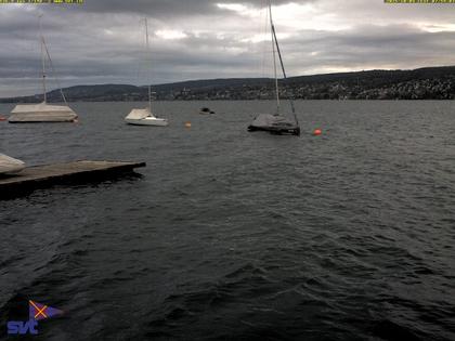 Thalwil › Ost: Zürichsee