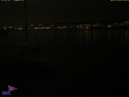 Thalwil › Ost: Zürichsee