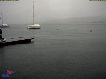 Thalwil › Ost: Zürichsee