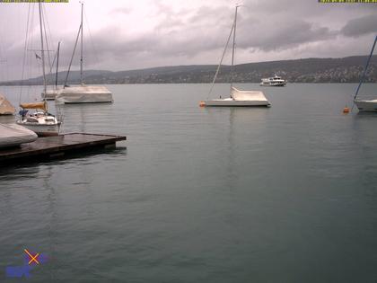 Thalwil › Ost: Zürichsee