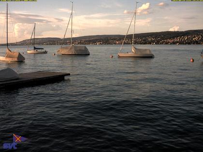 Thalwil › Ost: Zürichsee