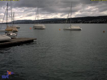 Thalwil › Ost: Zürichsee