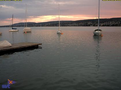 Thalwil › Ost: Zürichsee