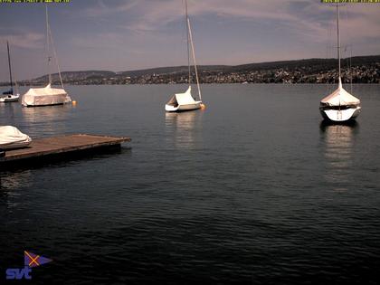 Thalwil › Ost: Zürichsee