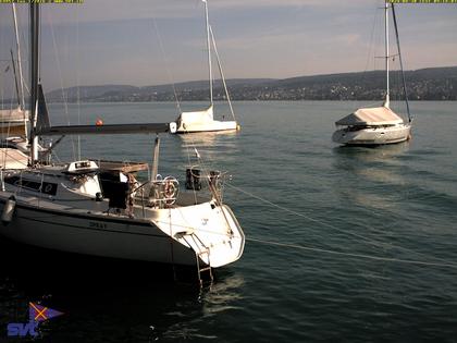 Thalwil › Ost: Zürichsee