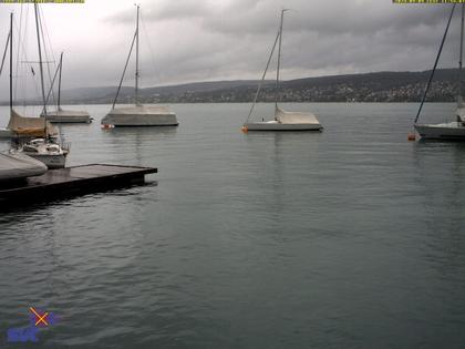 Thalwil › Ost: Zürichsee