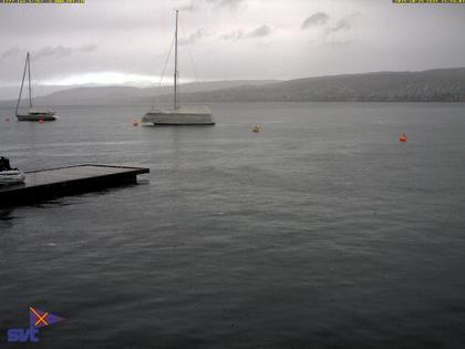 Thalwil › Ost: Zürichsee