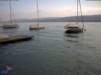 Thalwil › Ost: Zürichsee