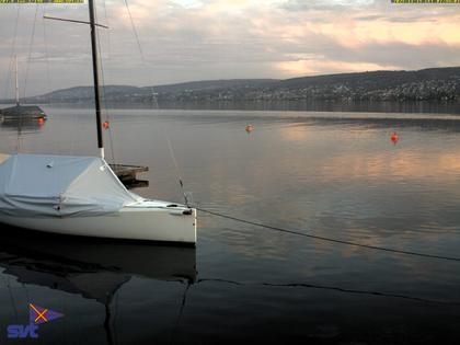 Thalwil › Osten: Zürichsee