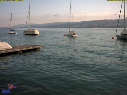 Thalwil › Ost: Zürichsee