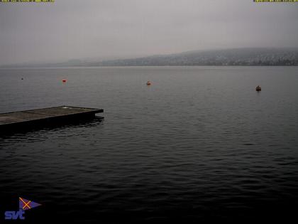 Thalwil › Ost: Zürichsee