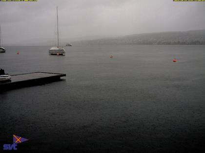 Thalwil › Ost: Zürichsee