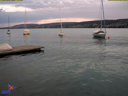 Thalwil › Ost: Zürichsee