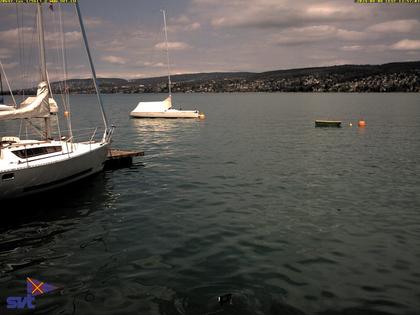 Thalwil › Ost: Zürichsee