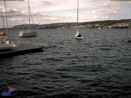 Thalwil › Ost: Zürichsee