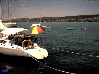 Thalwil › Ost: Zürichsee