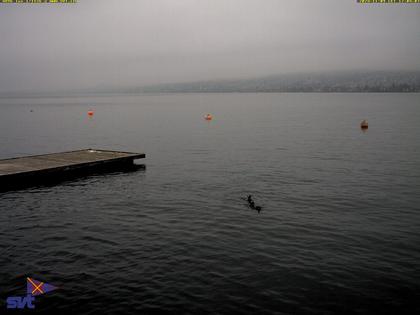 Thalwil › Ost: Zürichsee