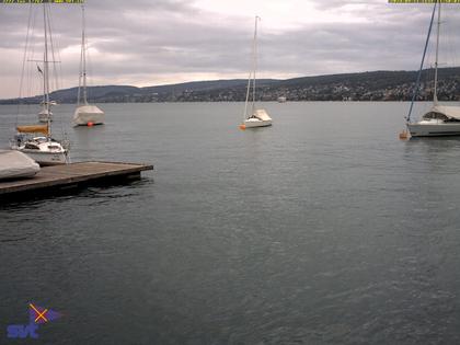 Thalwil › Ost: Zürichsee