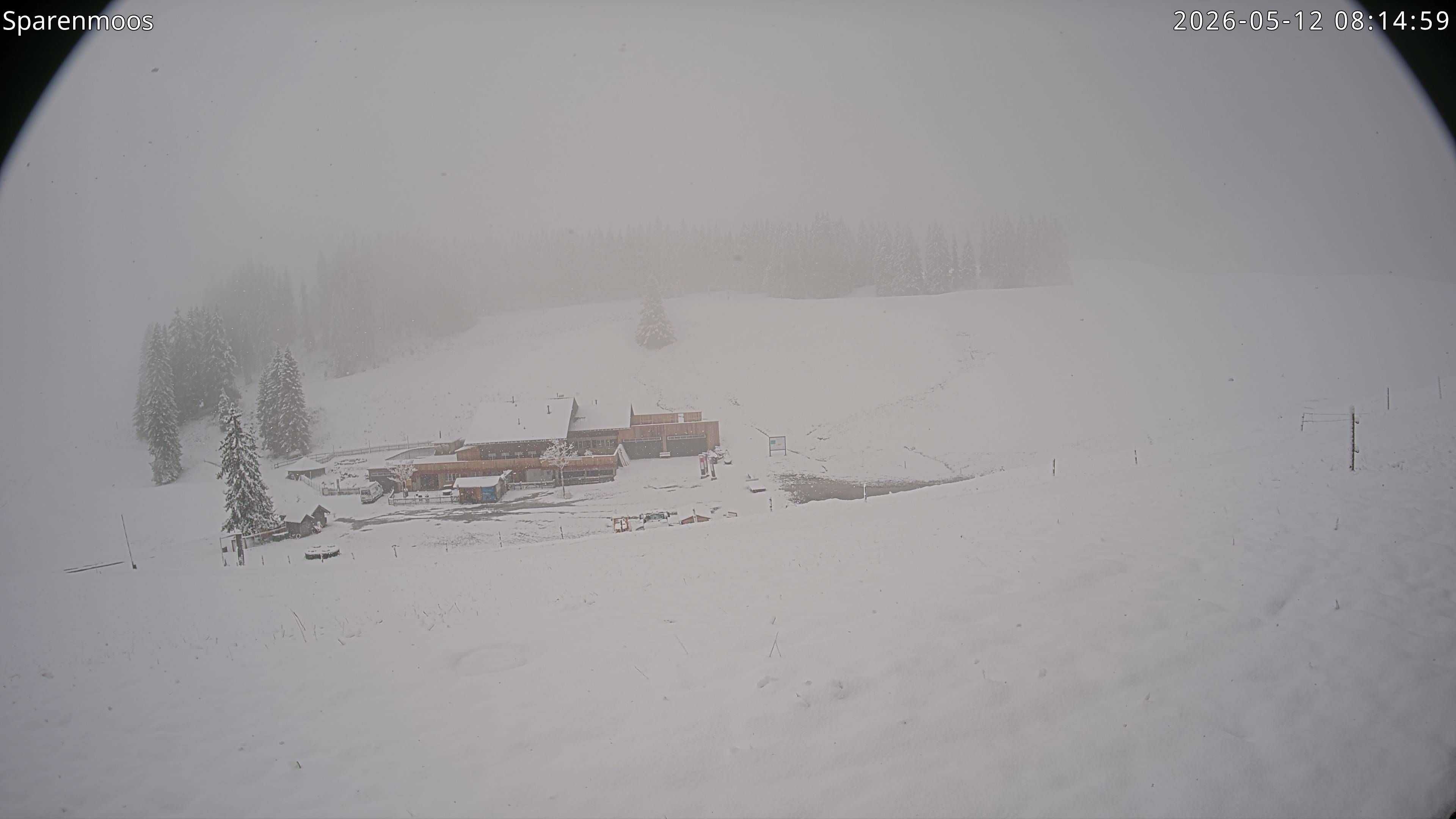Zweisimmen › Westen: Sparenmoos: Berghotel Sparenmoos, Hundsrügg, Tolmoos