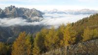 Forni di Sopra › South-West: Malga Varmost