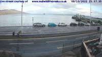 Craignure › East: Ferry Terminal