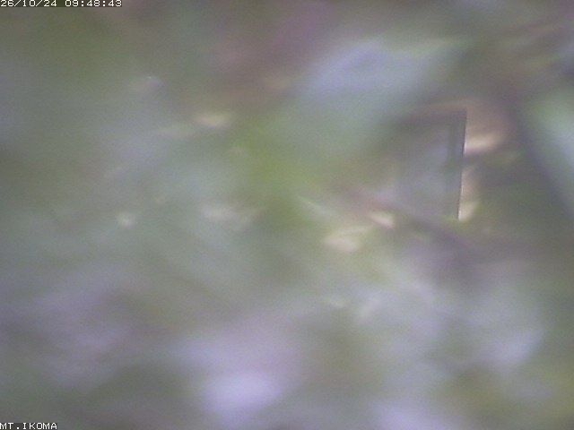 Nara-shi webcam