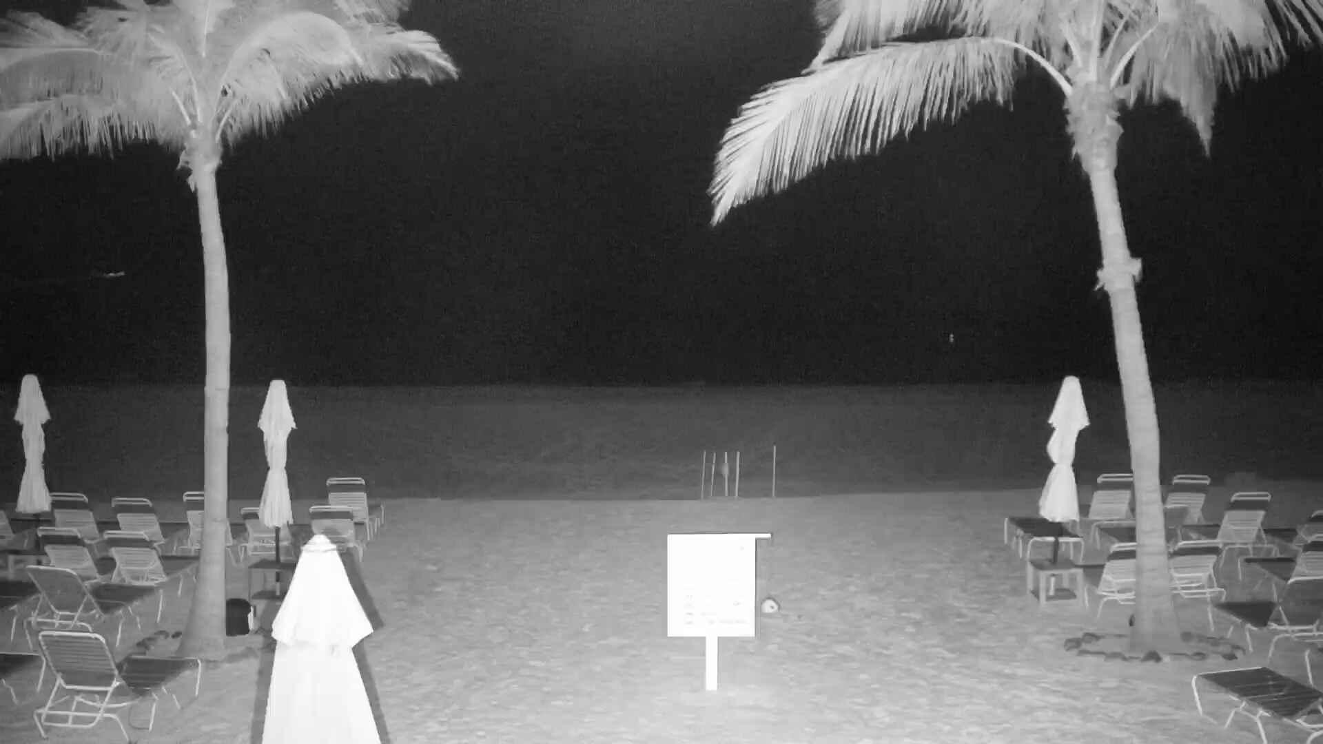Webcams around Cedar Key - meteoblue