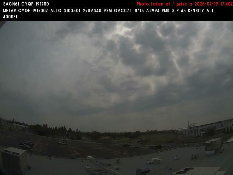 Red Deer during daytime