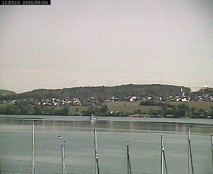 Traffic Cam Beinwil am See: Hallwilersee Ost 1