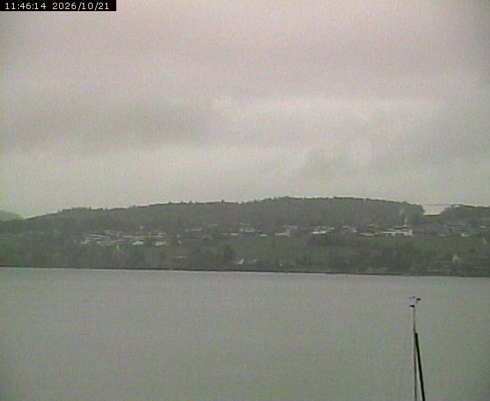 Beinwil am See › Osten: Lake Hallwil