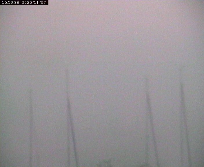 Beinwil am See: Hallwilersee Ost 1