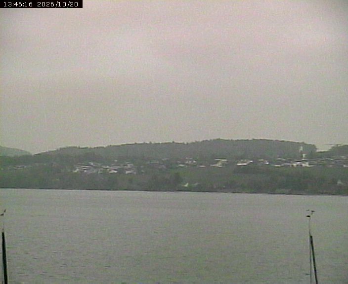 Beinwil am See › Osten: Lake Hallwil