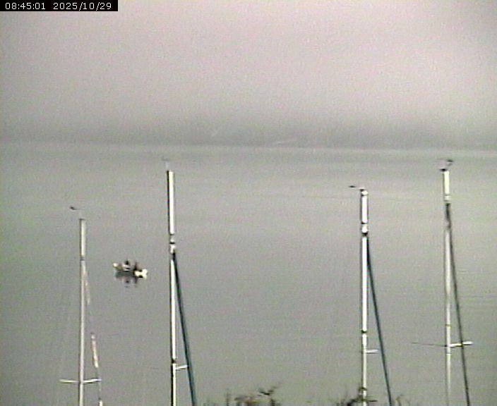 Beinwil am See: Hallwilersee Ost 1