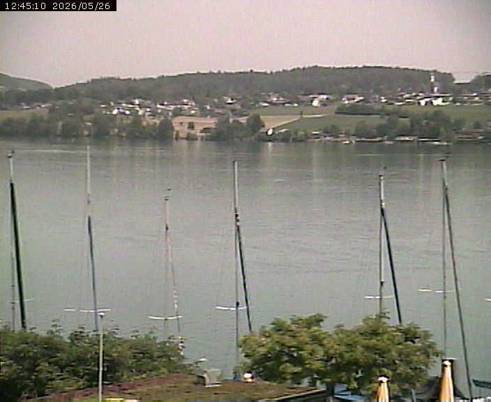 Beinwil am See: Hallwilersee Ost 1