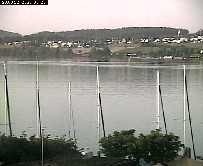 Beinwil am See: Hallwilersee Ost 1