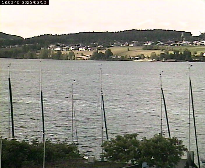 Beinwil am See: Hallwilersee Ost 1