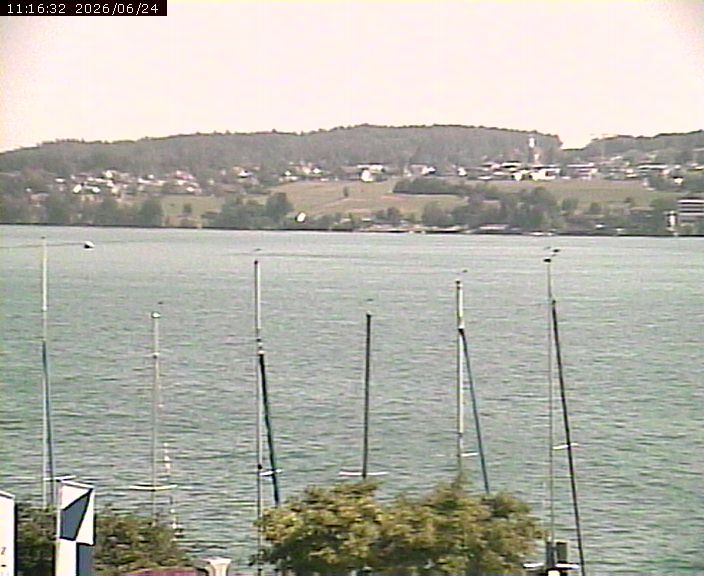 Beinwil am See › Osten: Lake Hallwil