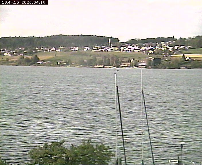 Beinwil am See: Hallwilersee Ost 1
