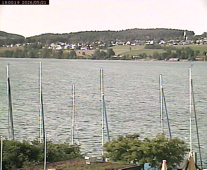 Beinwil am See: Hallwilersee Ost 1
