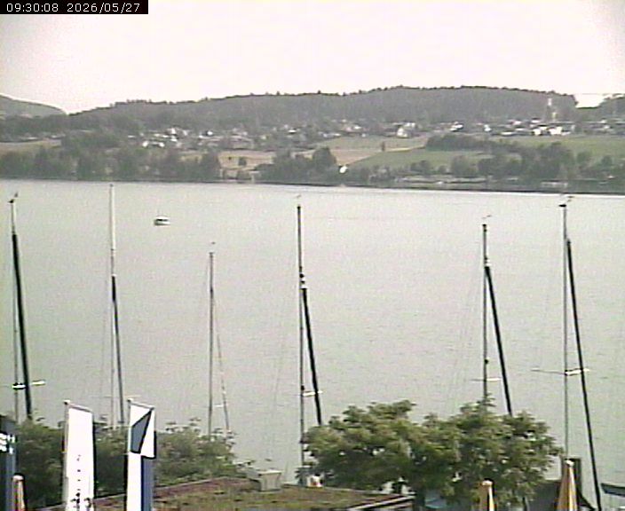 Beinwil am See: Hallwilersee Ost 1