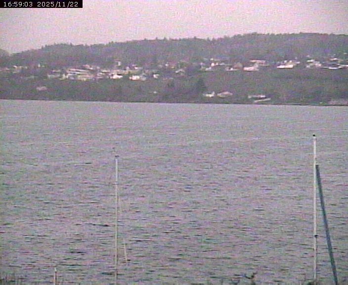 Beinwil am See: Hallwilersee Ost 1