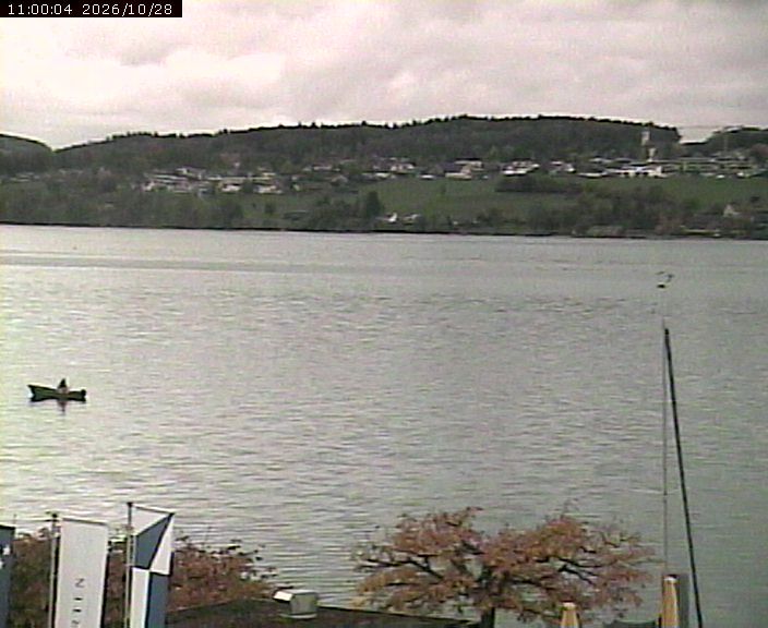 Beinwil am See › Osten: Lake Hallwil
