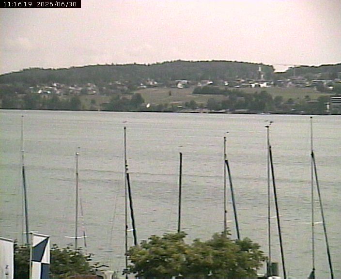 Beinwil am See › Osten: Lake Hallwil