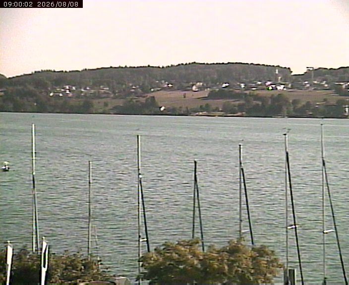 Beinwil am See › Osten: Lake Hallwil
