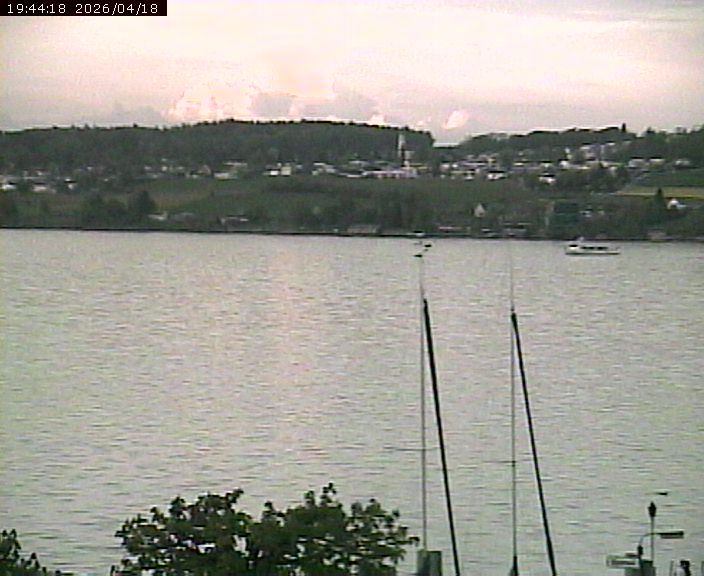 Beinwil am See: Hallwilersee Ost 1