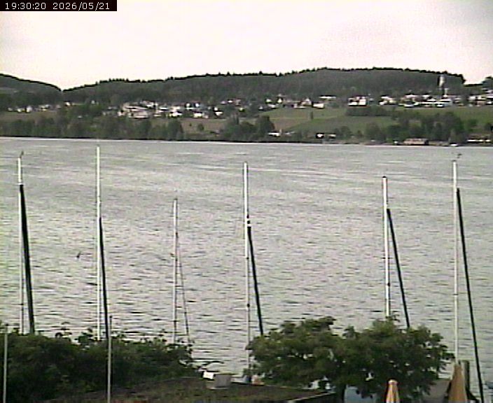Beinwil am See: Hallwilersee Ost 1