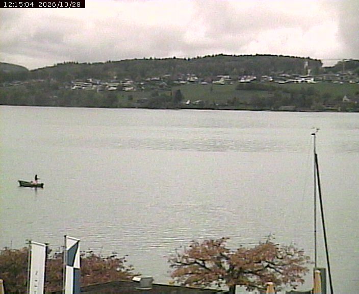 Beinwil am See › Osten: Lake Hallwil