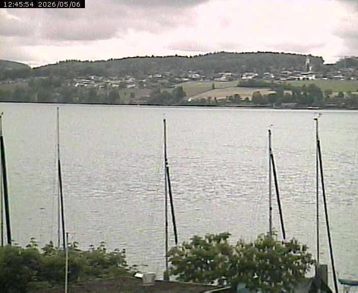 Beinwil am See: Hallwilersee Ost 1
