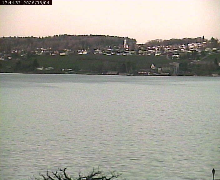 Beinwil am See: Hallwilersee Ost 1